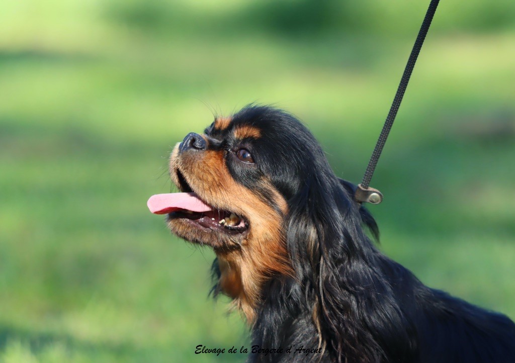 Une poupée de la bergerie d'argent