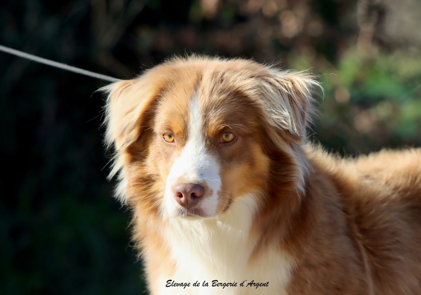 Vidocq Des sources sacrees